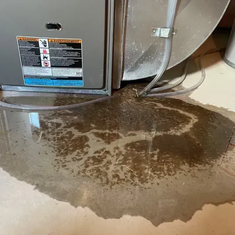 Appliance Leak Cleanup in De Soto, IL